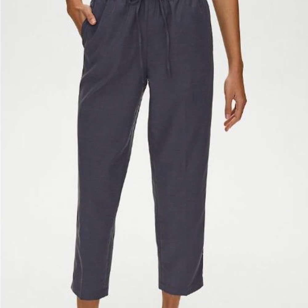 Aritzia The Group by Babaton Jimmy Pant